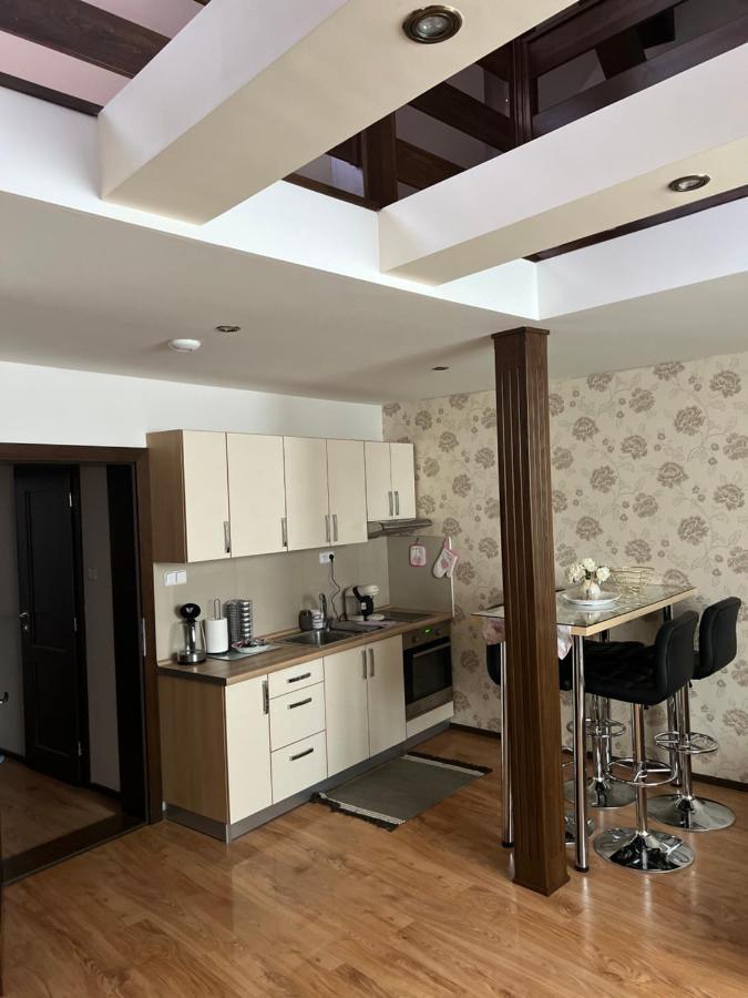 Apartmanystocklova2 Μπαρντέγιοβ Εξωτερικό φωτογραφία